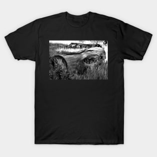 Deadwood on Cherry Creek Trail 2 T-Shirt